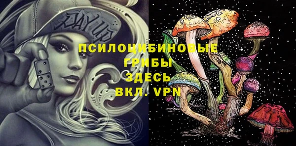 амф Зеленодольск