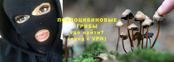 амф Зеленодольск