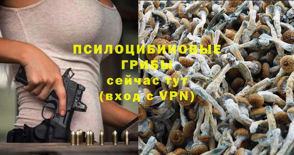 амф Зеленодольск