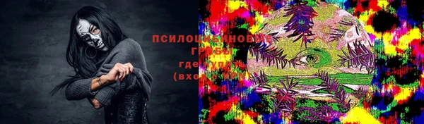 амф Зеленодольск