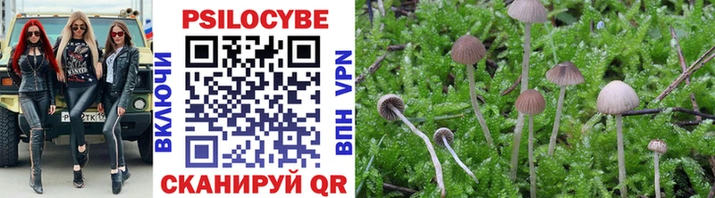 Псилоцибиновые грибы GOLDEN TEACHER  Купить где  Володарск 